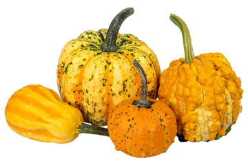 Pumpkins. Colorful decorative pumpkins without background.