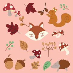 fox fallen leaves acorn mushrooms squirrel 