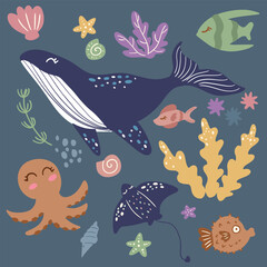 Shellfish, whale, algae, squid, puffer fish, stingray, starfish, fish, coral sea ​​creatures, animal,sea