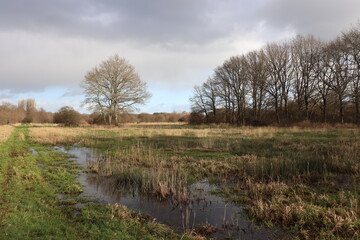 Couleurs d’automne en campagne