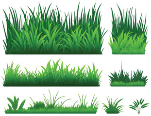A set of green grass on a white background