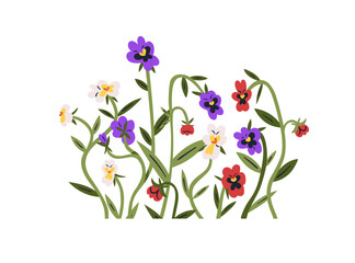 Flowers decoration. Pansies cluster. Heartsease wildflowers, blossomed field plants group. Gentle blooms branches, stems with leaf. Flat graphic vector illustration isolated on white background