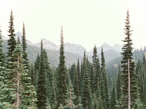 Landscape view of the Rocky Mountains in Oregon