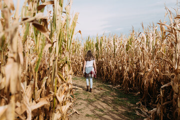 Pre-teen girl walking through corn maze during fall