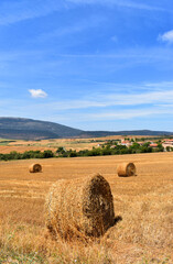Landscape of a harvested cereal field with hay balls and blue sky