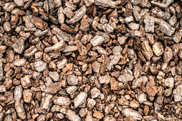 Varieties of bark and features of use as mulch