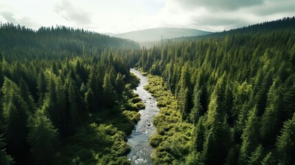 Luftaufnahmen Wildnis, Natur, Landschaft, Sonnenaufgang, Sonnenuntergang, generative Ai