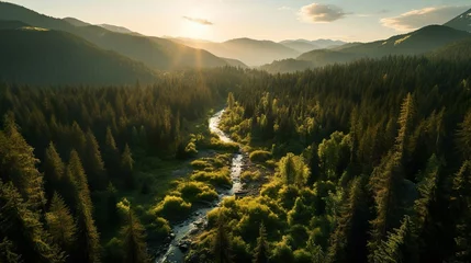 Foto op Plexiglas Luftaufnahmen Wildnis, Natur, Landschaft, Sonnenaufgang, Sonnenuntergang, generative Ai © Sönke Hayen
