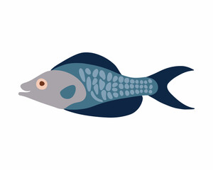 Vector isolated illustration of a fish on a white background.