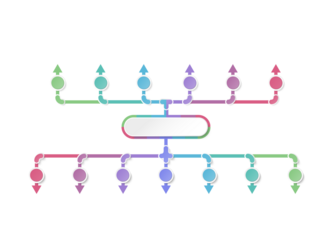 Infographic process design 13 options or steps.
