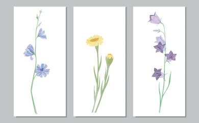 Vector set of watercolor meadow flowers - 640574753