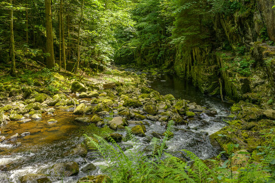 Buchberger Leite im bayerischen Wald 229123.jpg