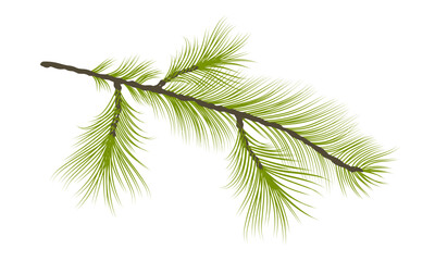 Pine tree branch. Green lush spruce branch. Fir branch in flat style isolated on white background. Illustration of christmas tree, pine or green fir for Xmas cards, New year party posters. Vector