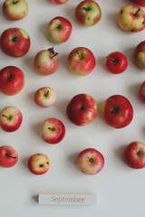 hello autumn card with fresh red apples on white background top view