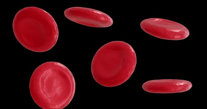 Animation of micro of red blood cells on black background