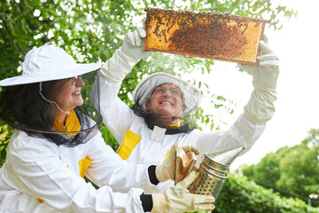 Happy female and male apiculturists examining honeycomb frame