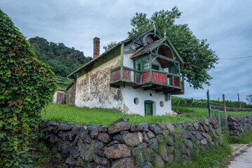 Fototapeta na wymiar Abandoned cottage in the Pannonian Plain vineyard