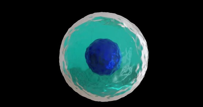 Animation of micro of blue and turquoise cell on black background