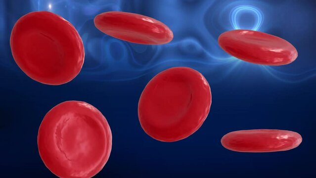 Animation of micro of red blood cells on blue background
