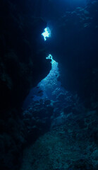 Underwater photo of rays of sunligt inside a cave