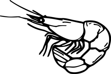 shrimp simple vector stencil image