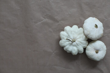 Autumn frame made of white pumpkins and squashes top view, copy space. Fall, Halloween, Thanksgiving concept. 