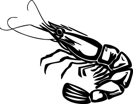 Minimalist vector stencil graphic featuring a shrim