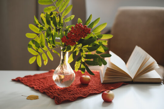 autumn still life with a rowan branch in a vase, book and apples in a cozy home interior