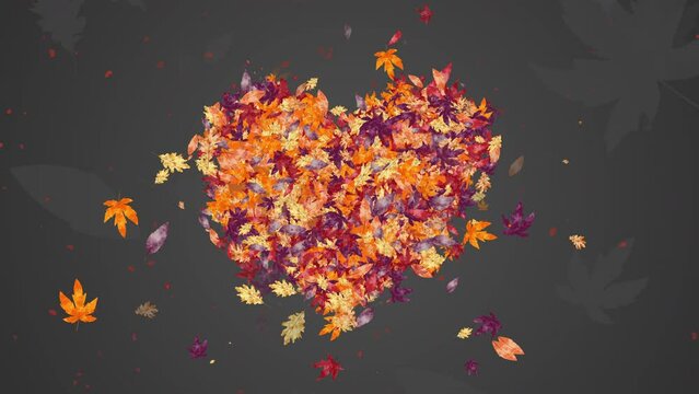 Autumn yellow and red leaves in shape of heart. Animation tree leaf on gray abstract looped background.