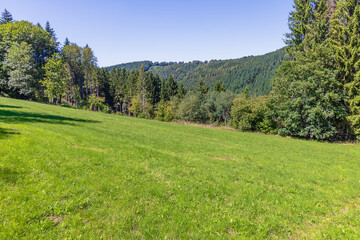 Meadows and forests near Monschau on a sunny summer day