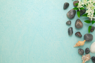 Spa concept on Cyan Color background with flowers, grey stones, and sea shells Top view.