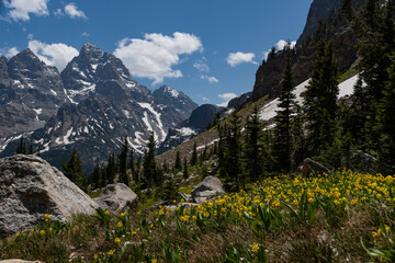 Mountain Views of the Teton Crest Trail in Teton National Park