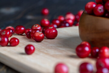 Red ripe cranberries harvested in swamps