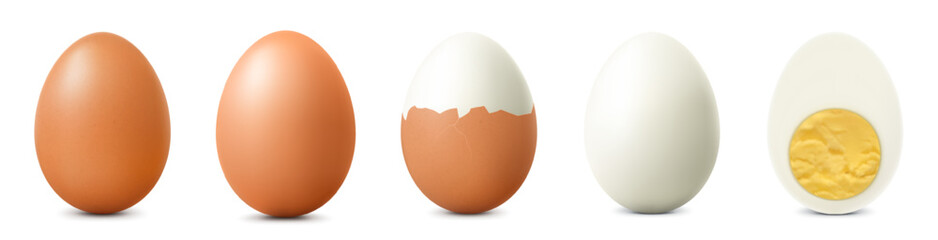 Brown chicken eggs isolated on white background. Textured Whole, Cracked Broken, half peeled, Peeled Boiled Egg, Hard-Boiled Egg With Yolk. Whole, Cut in Half Egg, Front View. Realistic 3d Vector