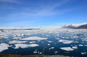 Stunning Icebergs with Floating Ice in a Lagoon