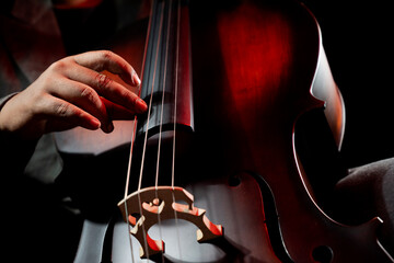 Musician playing cello © Leo Lintang