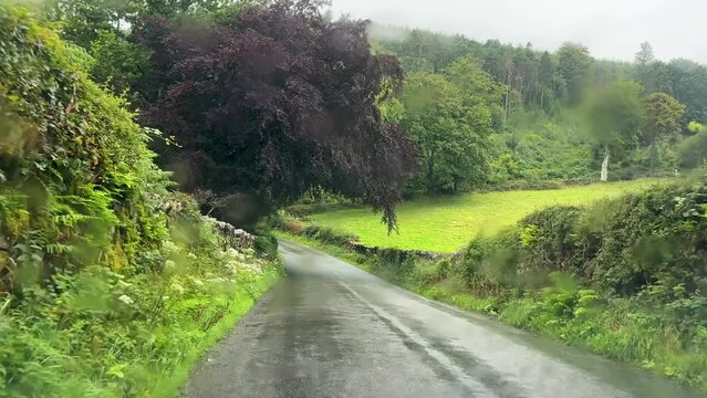 Car windscreen view driving green hedged narrow winding country lane down and up the hill in summer rain in Cumbria.