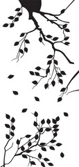 Black and white leaves & branches vector