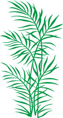 Reed, leaves vector image