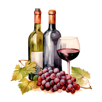 bottle of wine and grapes on white background.