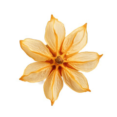 Dried Star fruit isolated on transparent background. Generative AI