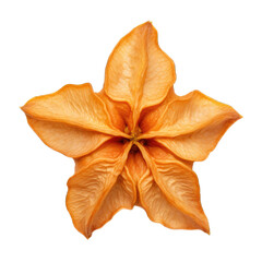 Fototapeta premium Dried Star fruit isolated on transparent background. Generative AI