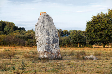 The 5m Fuseau de la Madeleine prehistoric standing stone menhir at La Viauderie 2 km west of Pontchateau, Saint Nazaire, France