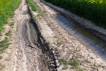 mud on a country road through a field of cereals