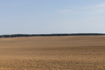 agricultural field plowed for sowing grain