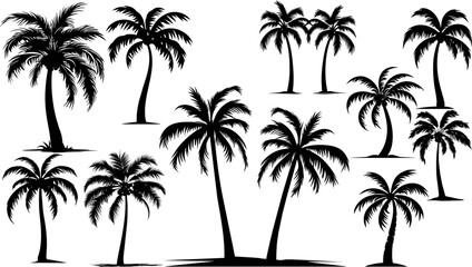 This set of detailed palm and coconut tree silhouette illustrations in black is perfect for adding a touch of tropical paradise to your design projects