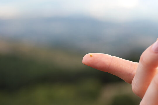 Close up of woman holding mustard seed in finger in front of a mountain. Faith parable, trust and belief in God and Jesus Christ, Christian growth, biblical concept. Copy space.