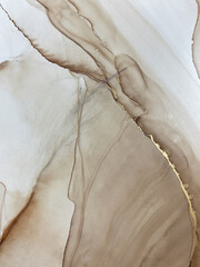 Abstract beige marble art with gold — brown transparent background. Beautiful smudges and stains made with alcohol ink and golden paint. Beige fluid art texture resembles watercolor or aquarelle.