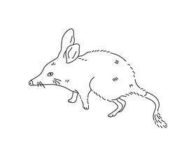 Vector isolated one single cute cartoon jumping jerboa gerbil mouse side view colorless black and white contour line easy drawing
