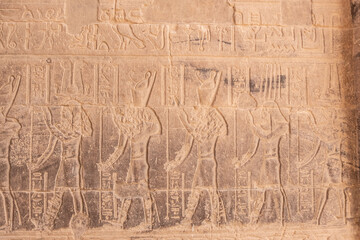 Fototapeta na wymiar Egypt Summer Travel Sacred Oasis: Exploring Philae Temple in Aswan